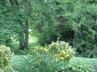 Deerfield landscaping
